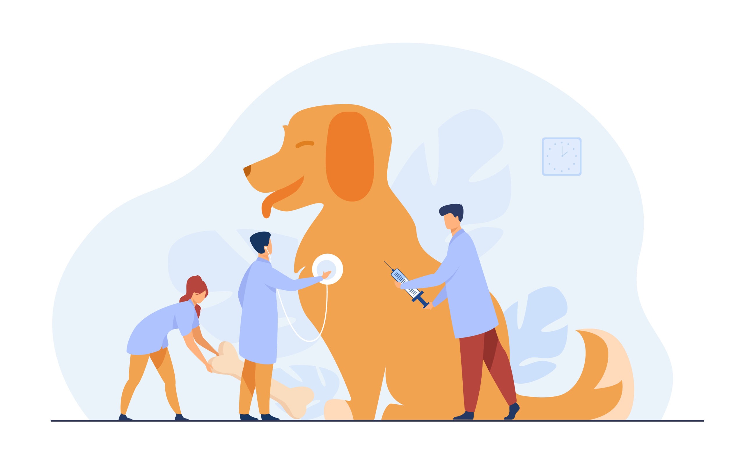 do senior dogs need vaccinations