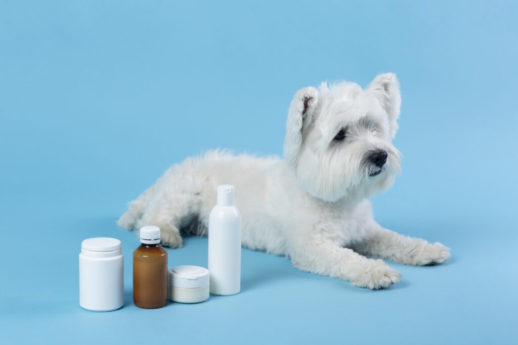 What Painkillers Can I Give My Dog